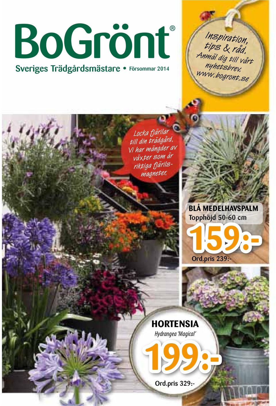 se Locka fjärilar till din trädgård.