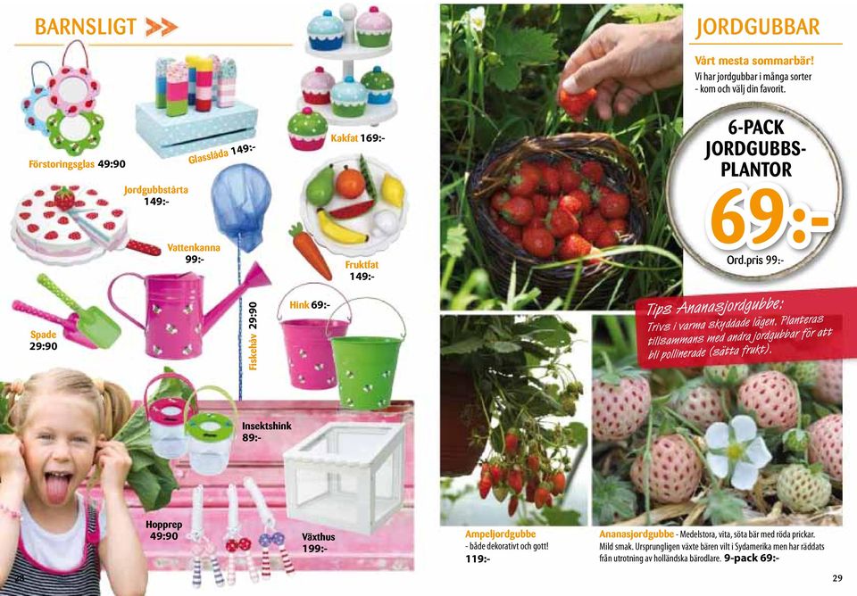pris 99:- Tips Ananasjordgubbe: Trivs i varma skyddade lägen. Planteras tillsammans med andra jordgubbar för att bli pollinerade (sätta frukt).