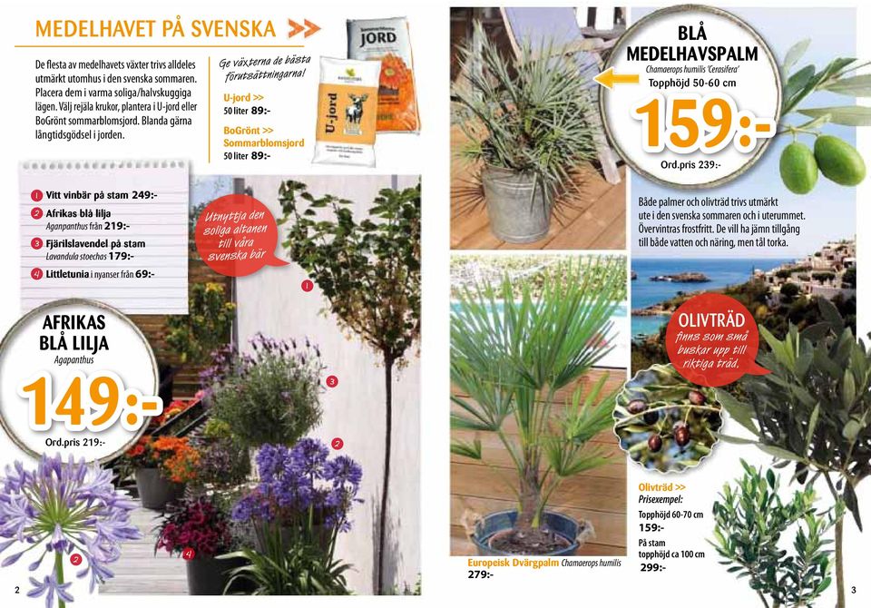 U-jord >> 0 liter 89:- BoGrönt >> Sommarblomsjord 0 liter 89:- BLÅ MEDELHAVSPALM Chamaerops humilis Cerasifera Topphöjd 0-60 cm 9:- Ord.