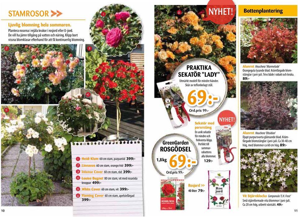 Alunrot Heuchera Marmelade Orangegula lysande blad. Krämfärgade blomstänglar i juni-juli. Trivs både i rabatt och kruka.
