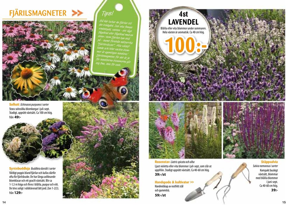 Alla väldoftande och/eller vackra blommor är egentligen insekts/ fjärilsmagneter, för det är ju för insekterna blommorna gör sig fina, inte för oss.