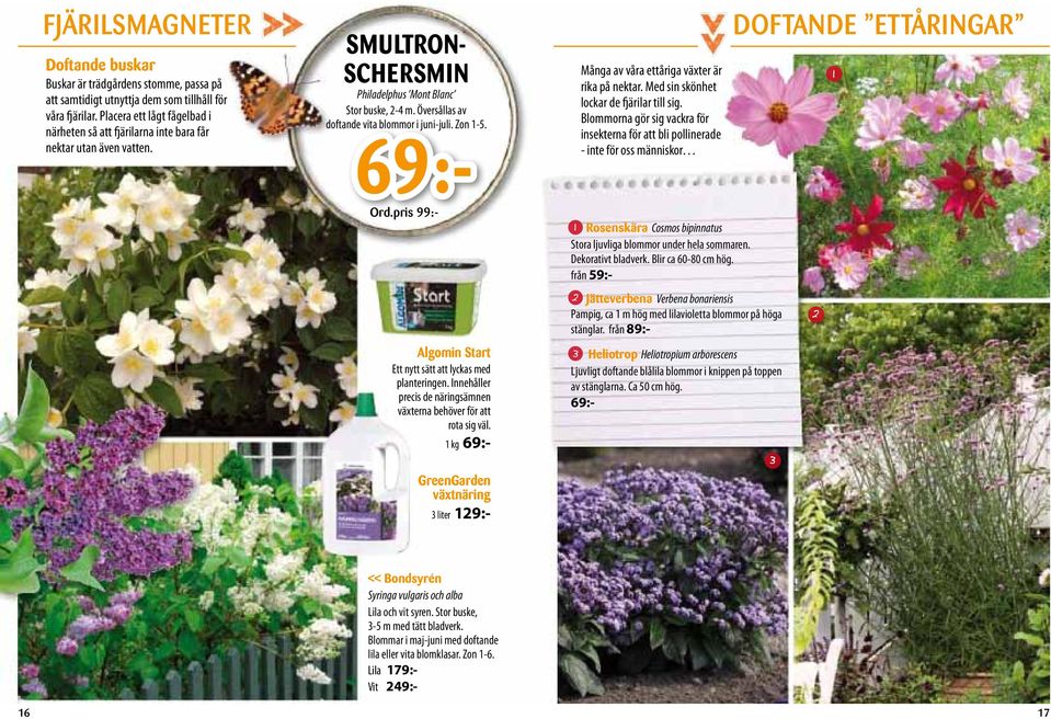 Översållas av doftande vita blommor i juni-juli. Zon -. 69:- Många av våra ettåriga växter är rika på nektar. Med sin skönhet lockar de fjärilar till sig.