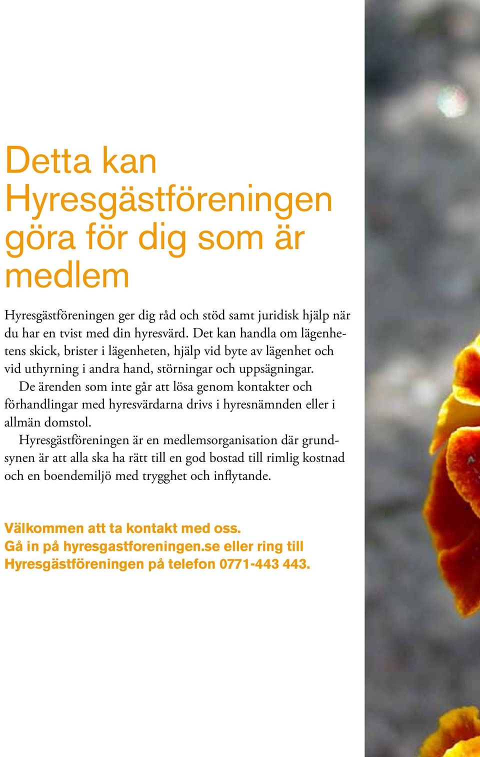 De ärenden som inte går att lösa genom kontakter och förhandlingar med hyresvärdarna drivs i hyresnämnden eller i allmän domstol.
