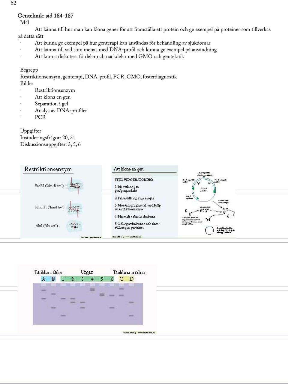 ge exempel på användning Att kunna diskutera fördelar och nackdelar med GMO och genteknik Restriktionsenzym, genterapi, DNA-profil, PCR, GMO,