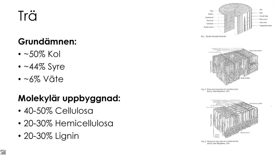 uppbyggnad: 40-50% Cellulosa