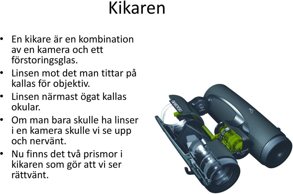 Linsen närmast ögat kallas okular.