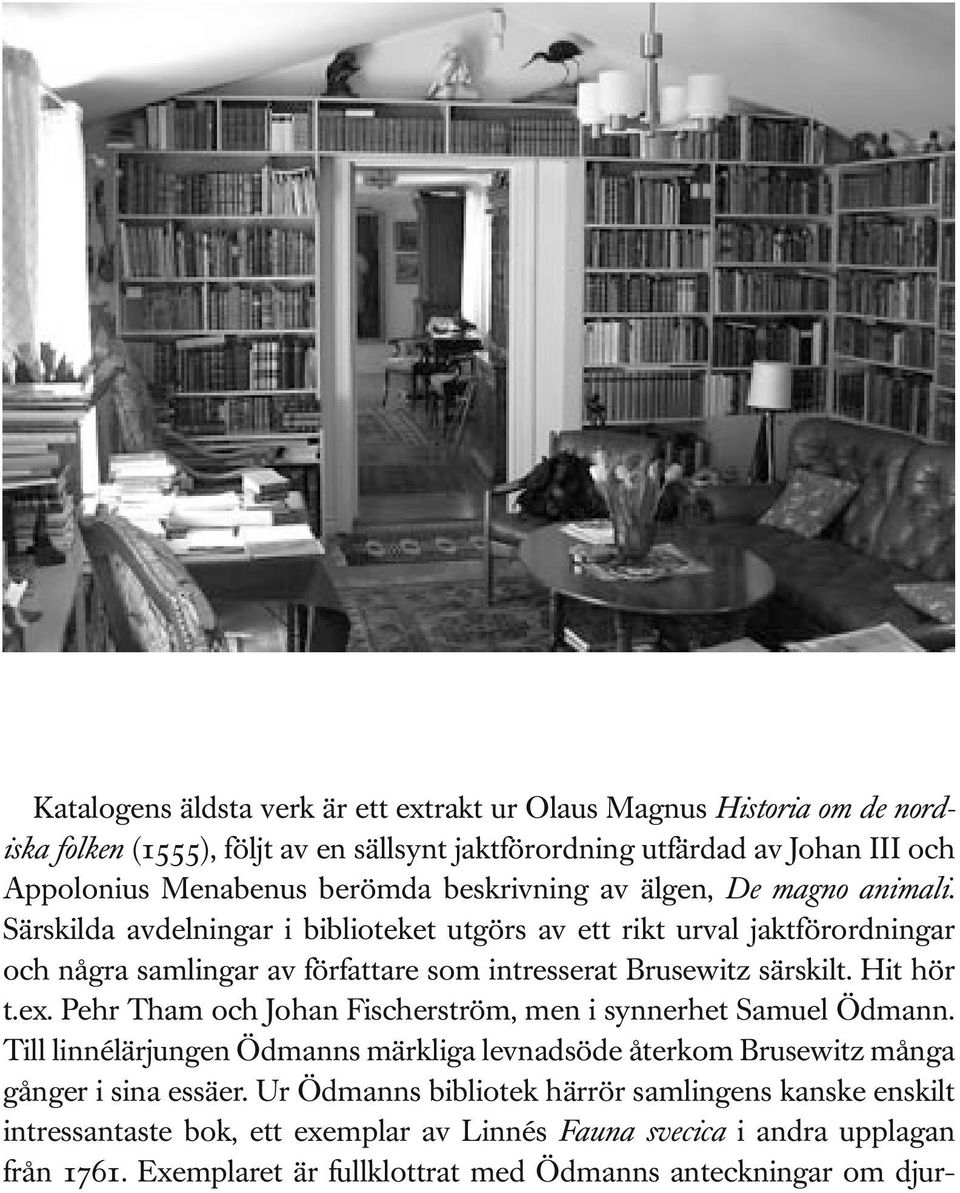 Särskilda avdelningar i biblioteket utgörs av ett rikt urval jaktförordningar och några samlingar av författare som intresserat Brusewitz särskilt. Hit hör t.ex.