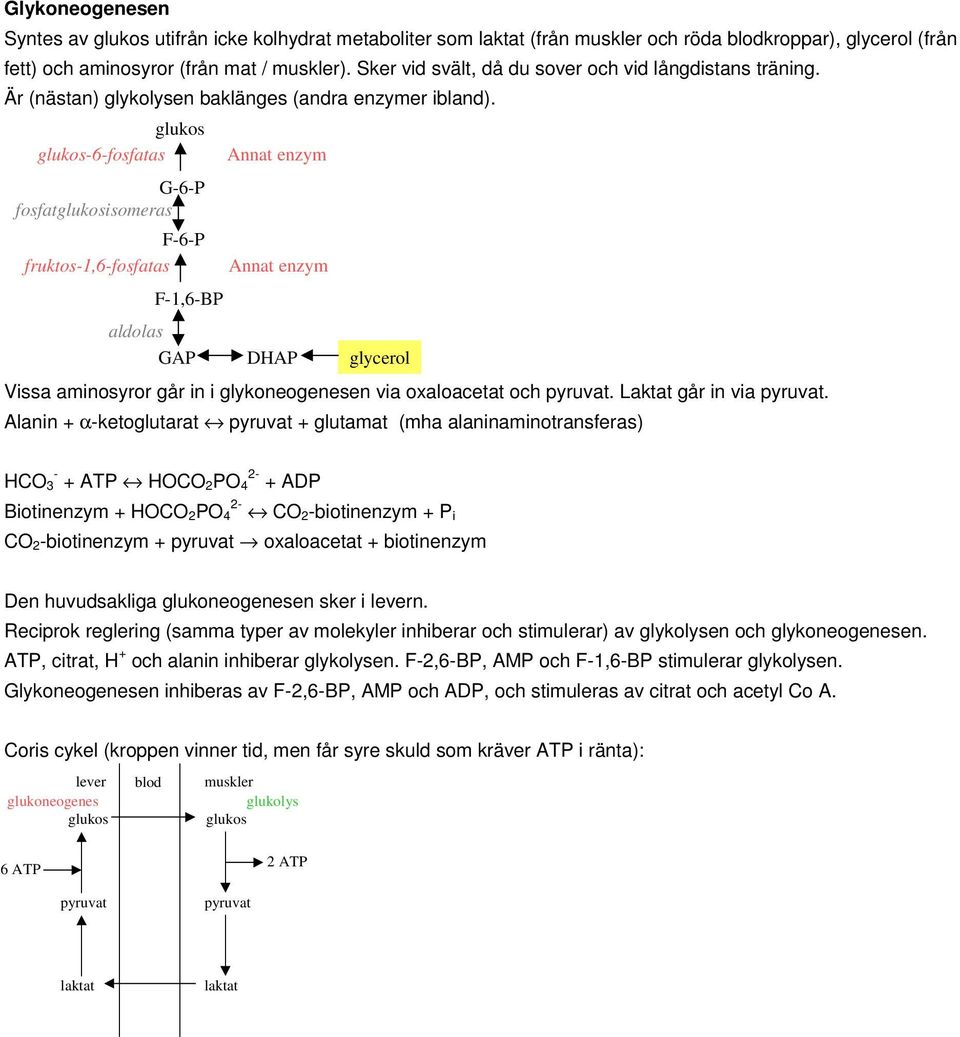 glukos glukos-6-fosfatas G-6-P fosfatglukosisomeras F-6-P fruktos-1,6-fosfatas F-1,6-BP Annat enzym Annat enzym aldolas GAP DAP glycerol Vissa aminosyror går in i glykoneogenesen via oxaloacetat och