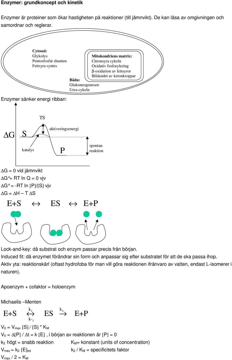 fettsyror Bildandet av ketonkroppar TS G S katalys aktiveringsenergi P spontan reaktion G = 0 vid jämnvikt G + RT ln Q = 0 vjv G = -RT ln [P]/[S] vjv G = T S E+S ES E+P Lock-and-key: då substrat och