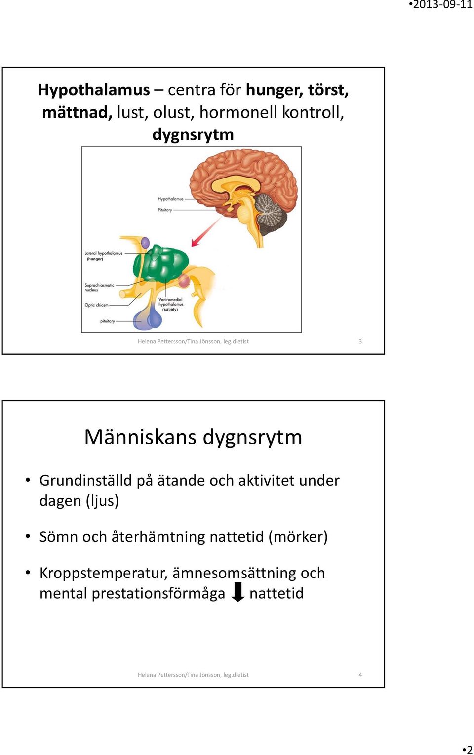 dietist 3 Människans dygnsrytm Grundinställd på ätande och aktivitet under dagen (ljus) Sömn