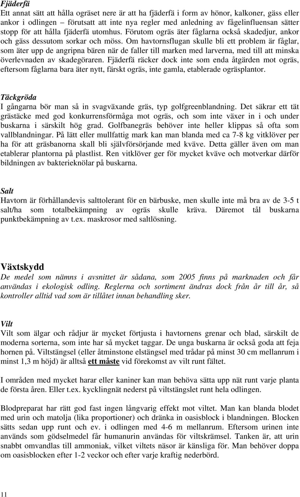 Om havtornsflugan skulle bli ett problem är fåglar, som äter upp de angripna bären när de faller till marken med larverna, med till att minska överlevnaden av skadegöraren.