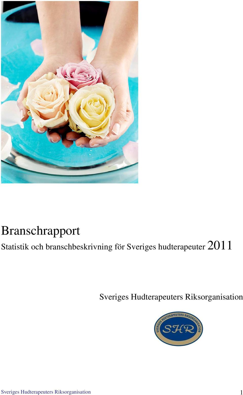 hudterapeuter 2011 Sveriges