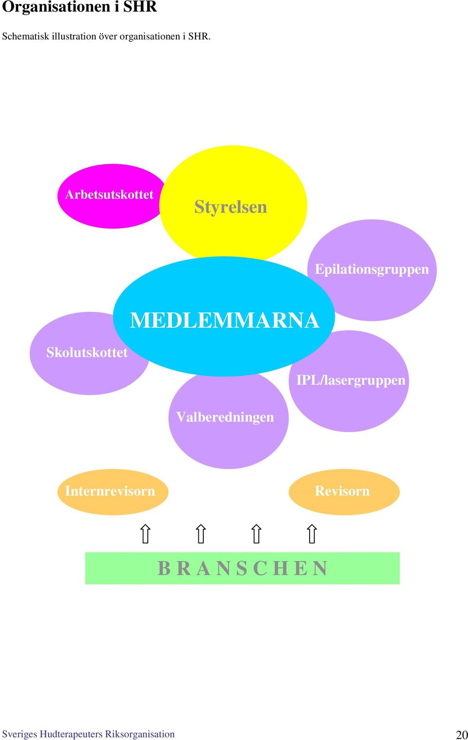 Arbetsutskottet Styrelsen Epilationsgruppen MEDLEMMARNA