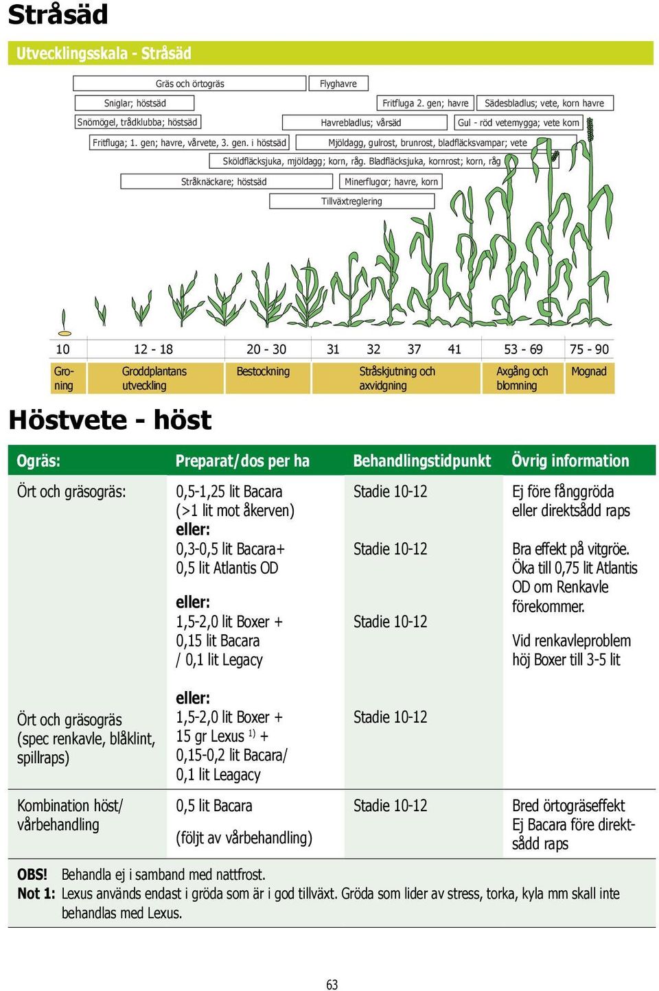 havre, vårvete, 3. gen. i höstsäd Mjöldagg, gulrost, brunrost, bladfläcksvampar; vete Sköldfläcksjuka, mjöldagg; korn, råg.