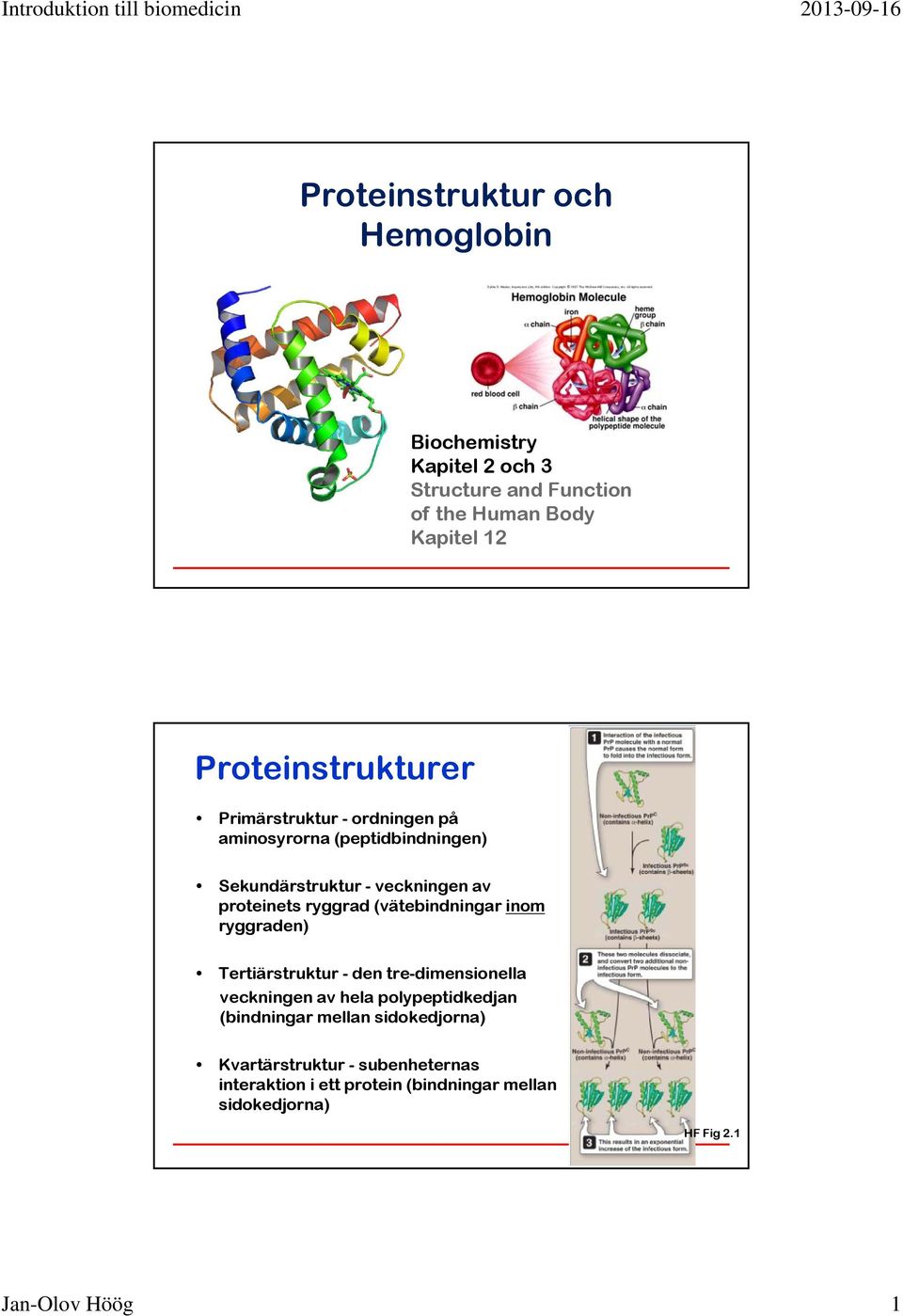 ryggrad (vätebindningar inom ryggraden) Tertiärstruktur - den tre-dimensionella veckningen av hela polypeptidkedjan