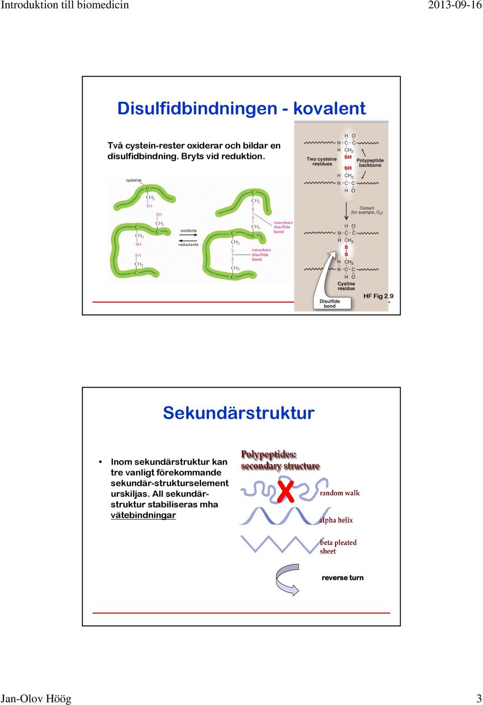 9 Sekundärstruktur Inom sekundärstruktur kan tre vanligt förekommande