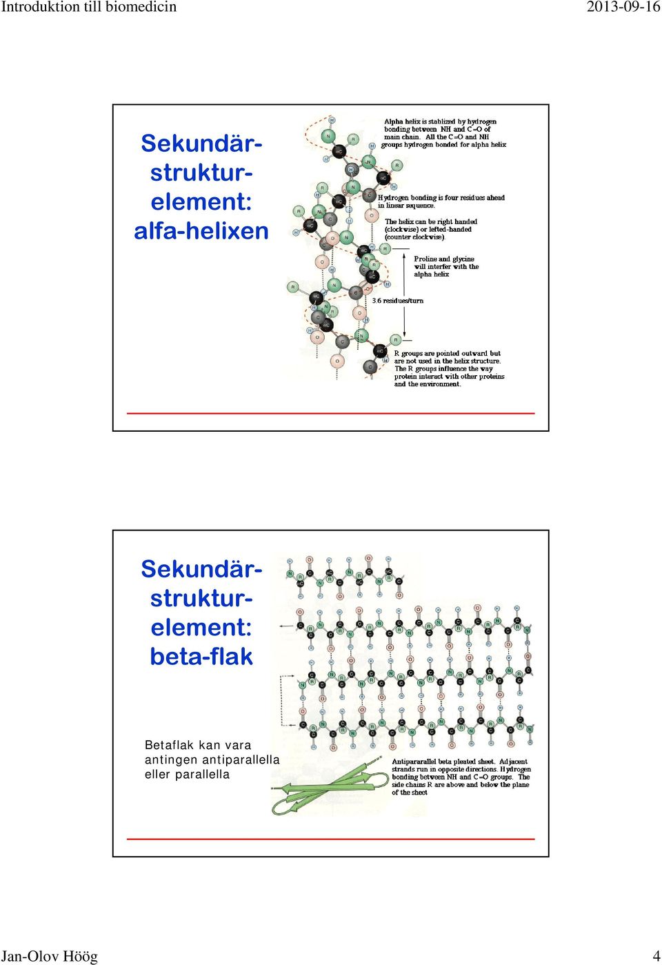 vara antingen antiparallella eller