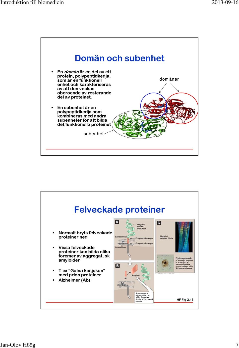 domäner En subenhet är en polypeptidkedja som kombineras med andra subenheter för att bilda det funktionella proteinet subenhet