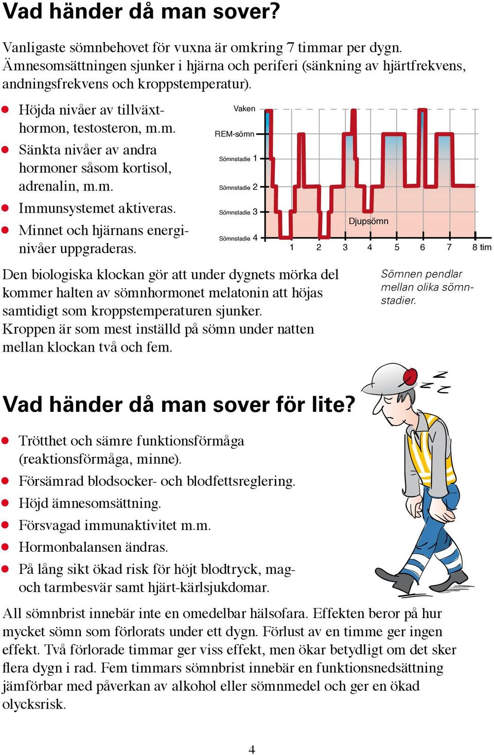 m. Immunsystemet aktiveras. Minnet och hjärnans energinivåer uppgraderas.