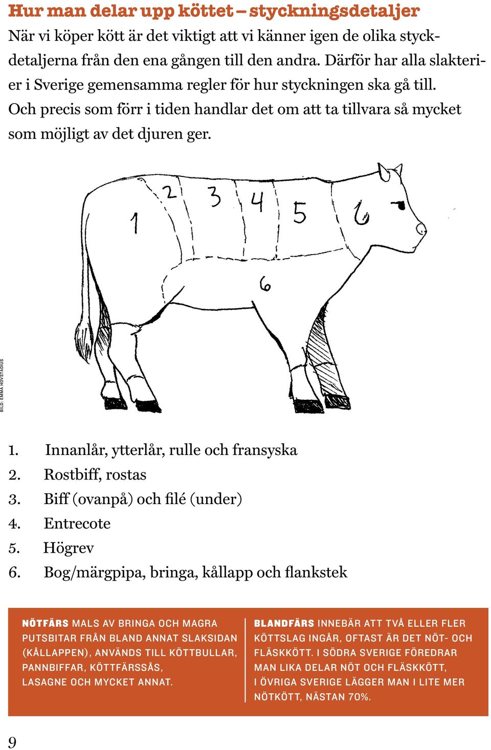 BILD: EMMA HOVSTADIUS 1. Innanlår, ytterlår, rulle och fransyska 2. Rostbiff, rostas 3. Biff (ovanpå) och filé (under) 4. Entrecote 5. Högrev 6.