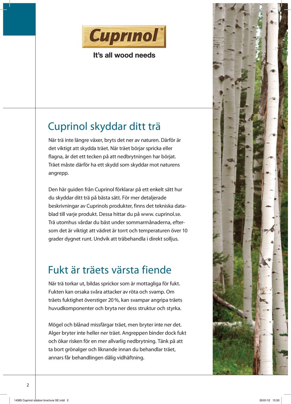 Den här guiden från Cuprinol förklarar på ett enkelt sätt hur du skyddar ditt trä på bästa sätt.