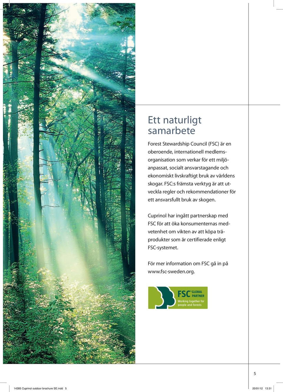 FSC:s främsta verktyg är att utveckla regler och rekommendationer för ett ansvarsfullt bruk av skogen.