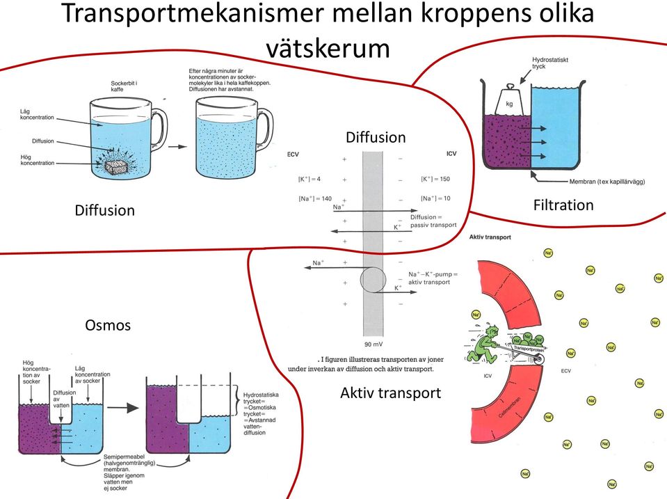 vätskerum Diffusion