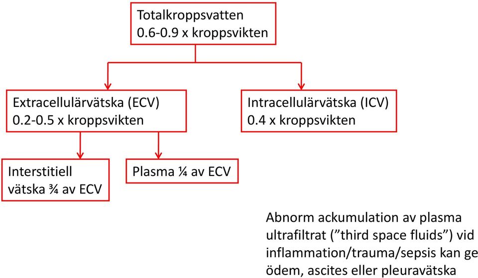 4 x kroppsvikten Interstitiell vätska ¾ av ECV Plasma ¼ av ECV Abnorm