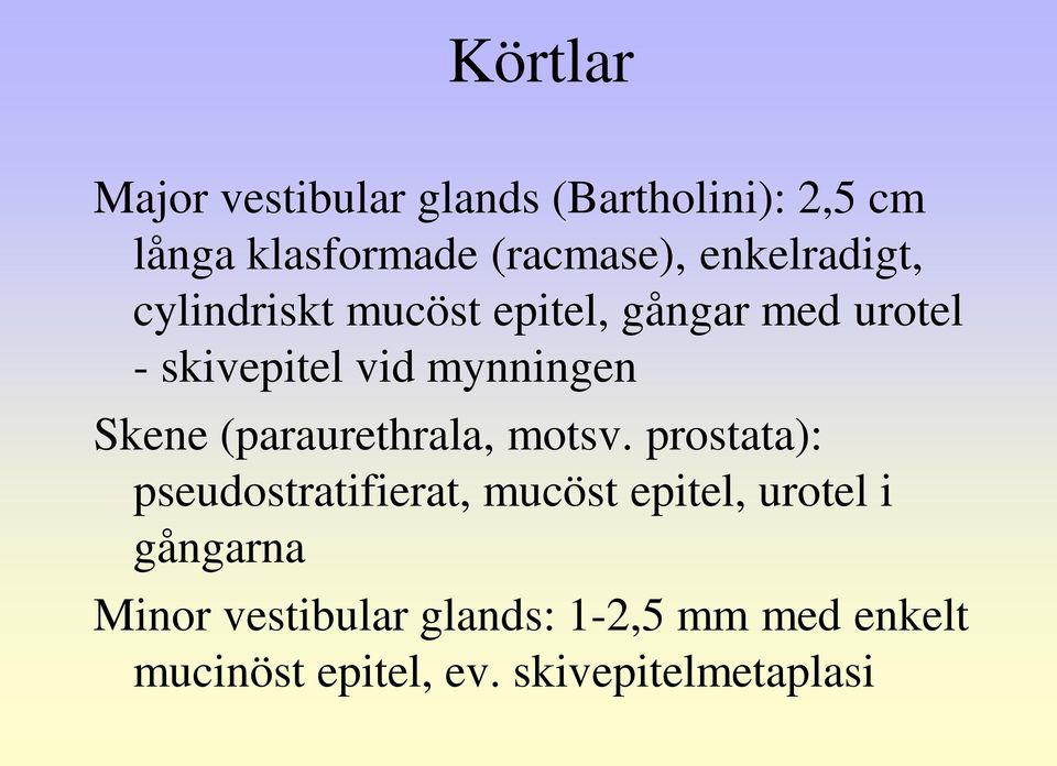 Skene (paraurethrala, motsv.