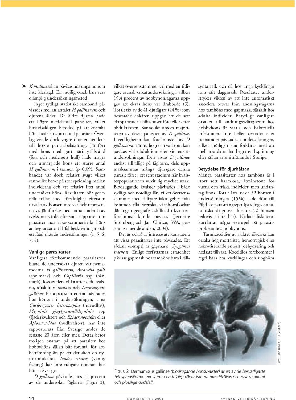 Överlag visade dock yngre djur en tendens till högre parasitbelastning.