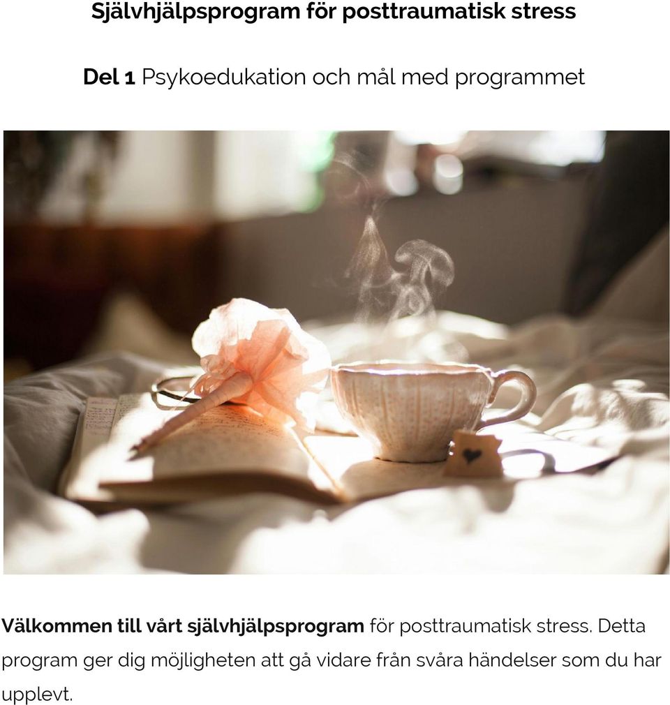 självhjälpsprogram för posttraumatisk stress.