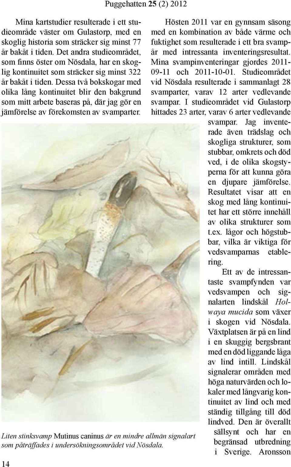 Dessa två bokskogar med olika lång kontinuitet blir den bakgrund som mitt arbete baseras på, där jag gör en jämförelse av förekomsten av svamparter.