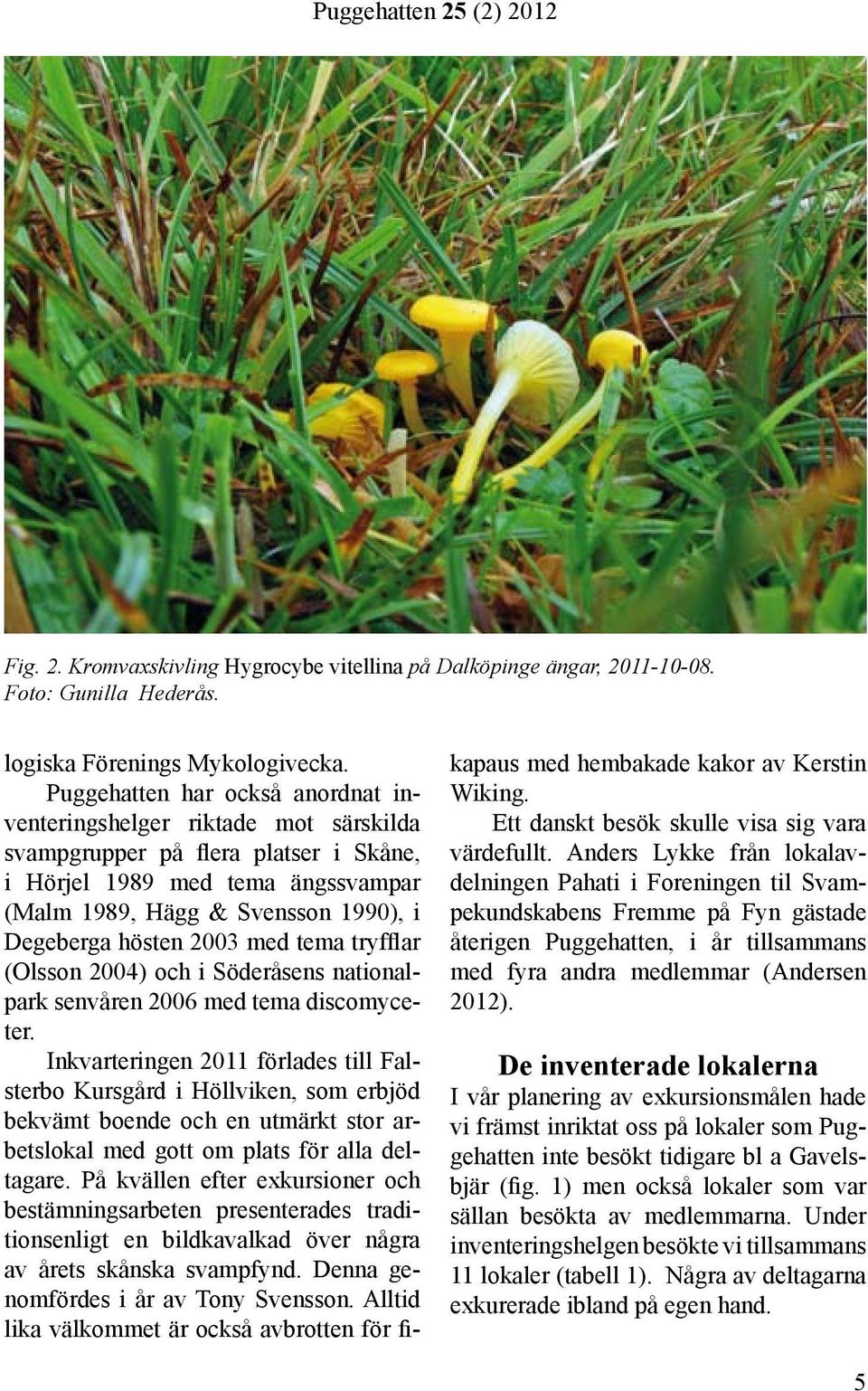 2003 med tema tryfflar (Olsson 2004) och i Söderåsens nationalpark senvåren 2006 med tema discomyceter.