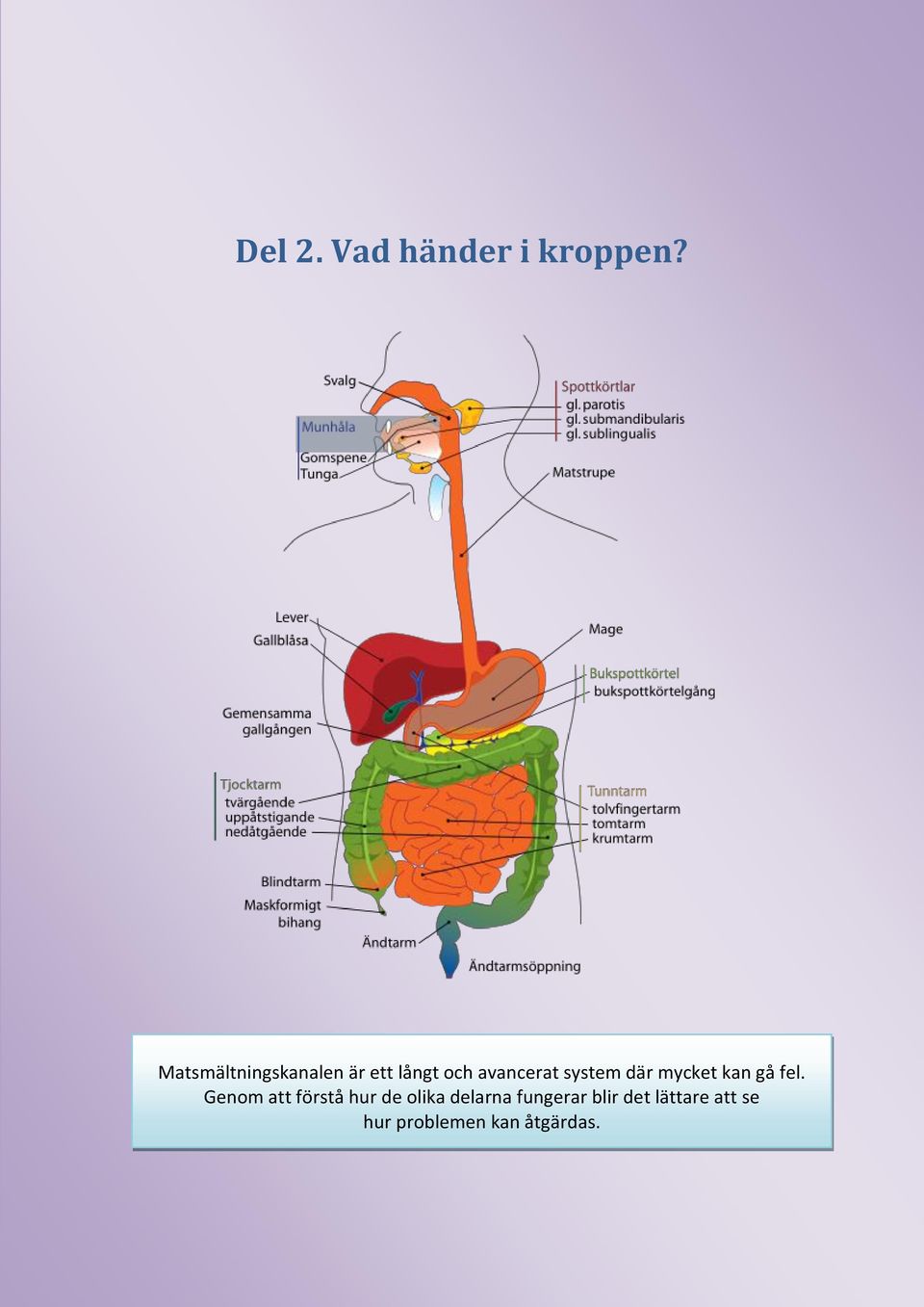 system där mycket kan gå fel.