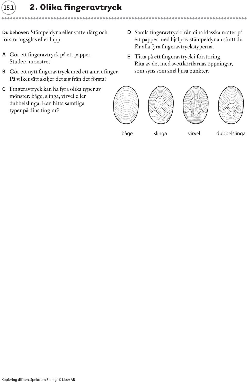 C Fingeravtryck kan ha fyra olika typer av mönster: båge, slinga, virvel eller dubbelslinga. Kan hitta samtliga typer på dina fingrar?