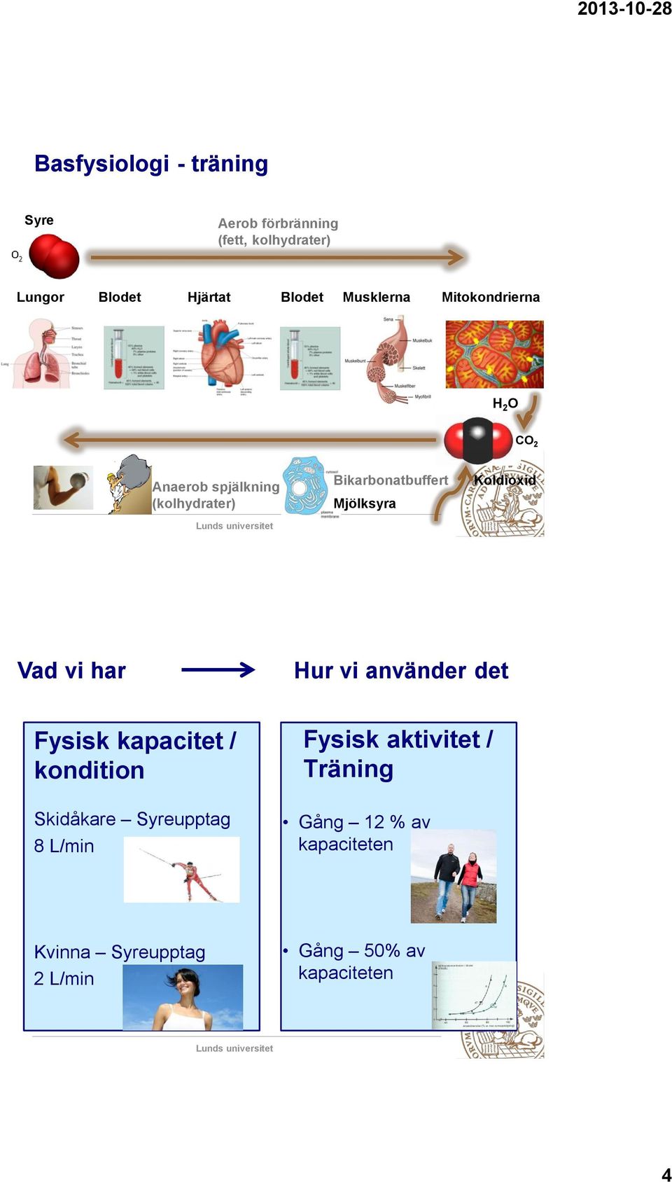 Koldioxid Vad vi har Hur vi använder det Fysisk kapacitet / kondition Skidåkare Syreupptag 8 L/min