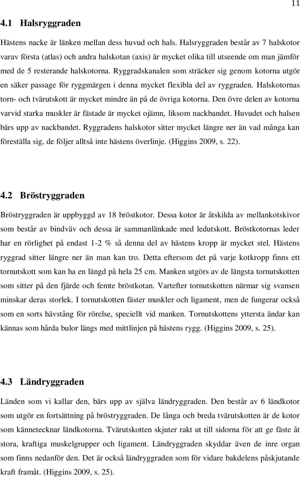 Ryggradskanalen som sträcker sig genom kotorna utgör en säker passage för ryggmärgen i denna mycket flexibla del av ryggraden.