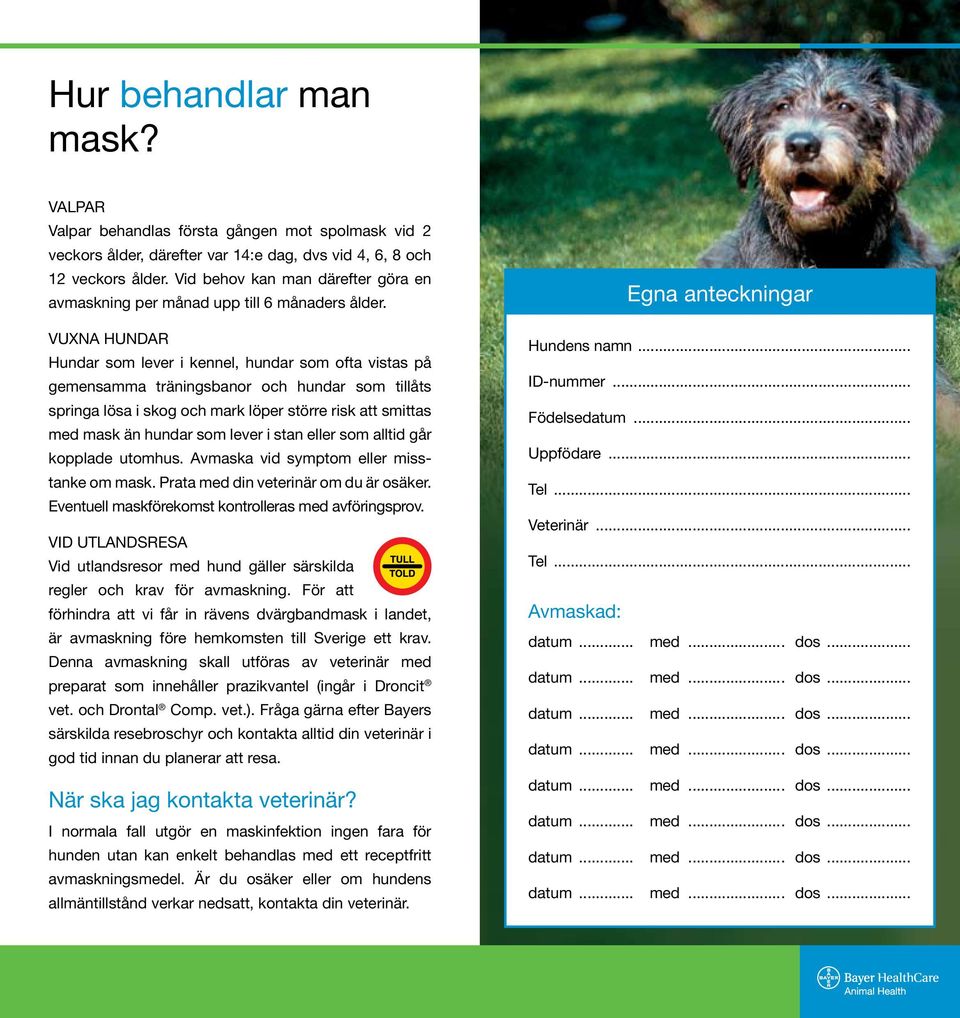 Vuxna hundar Hundar som lever i kennel, hundar som ofta vistas på gemensamma träningsbanor och hundar som tillåts springa lösa i skog och mark löper större risk att smittas med mask än hundar som