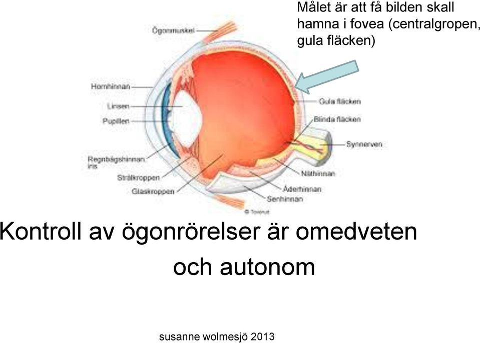 gula fläcken) Kontroll av