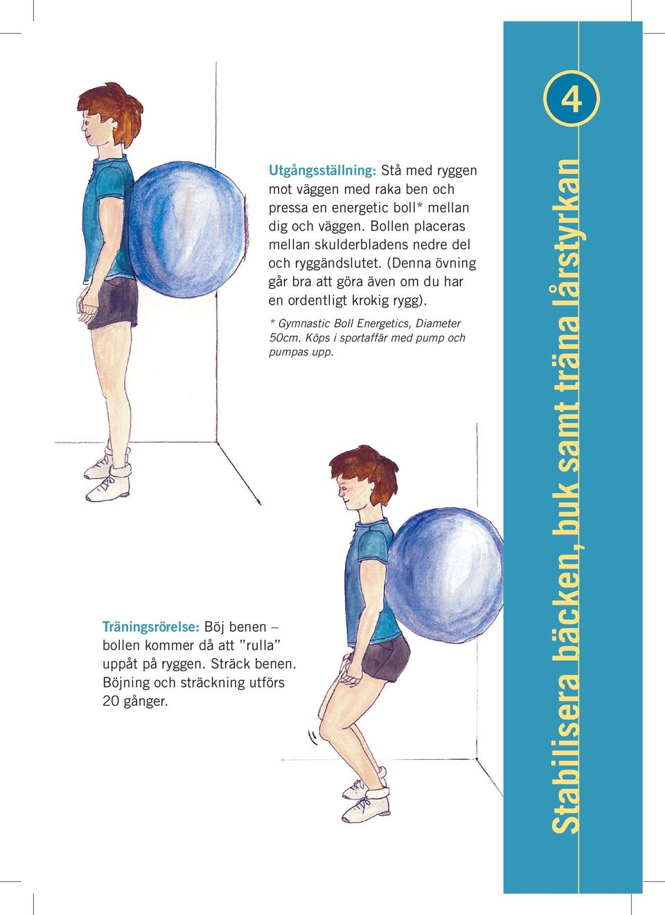 Bollen placeras mellan skulderbladens nedre del och ryggändslutet.