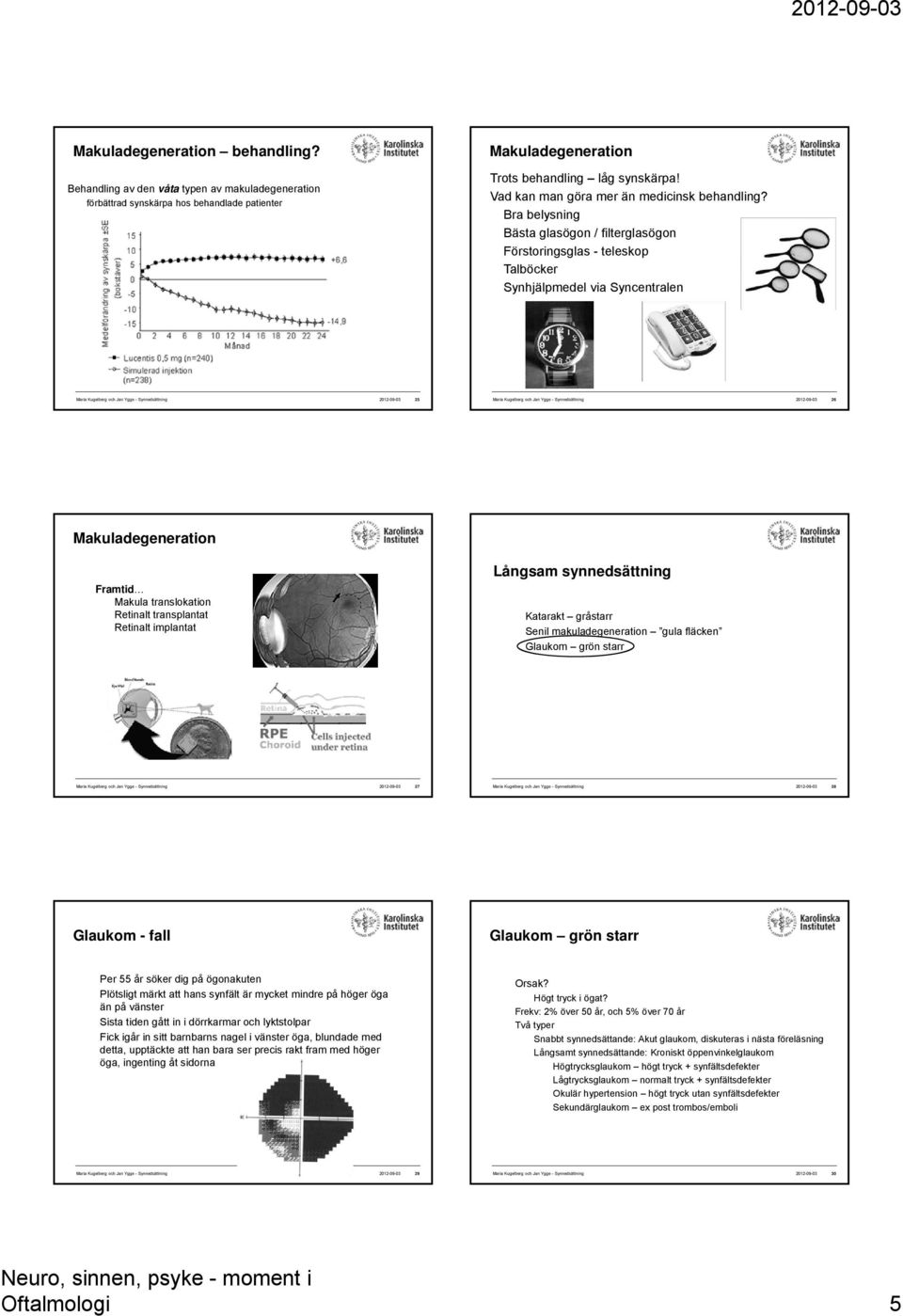 Ygge - Synnedsättning 2012-09-03 26 Framtid Makula translokation Retinalt transplantat Retinalt implantat Långsam synnedsättning gråstarr Senil makuladegeneration gula fläcken Glaukom grön starr