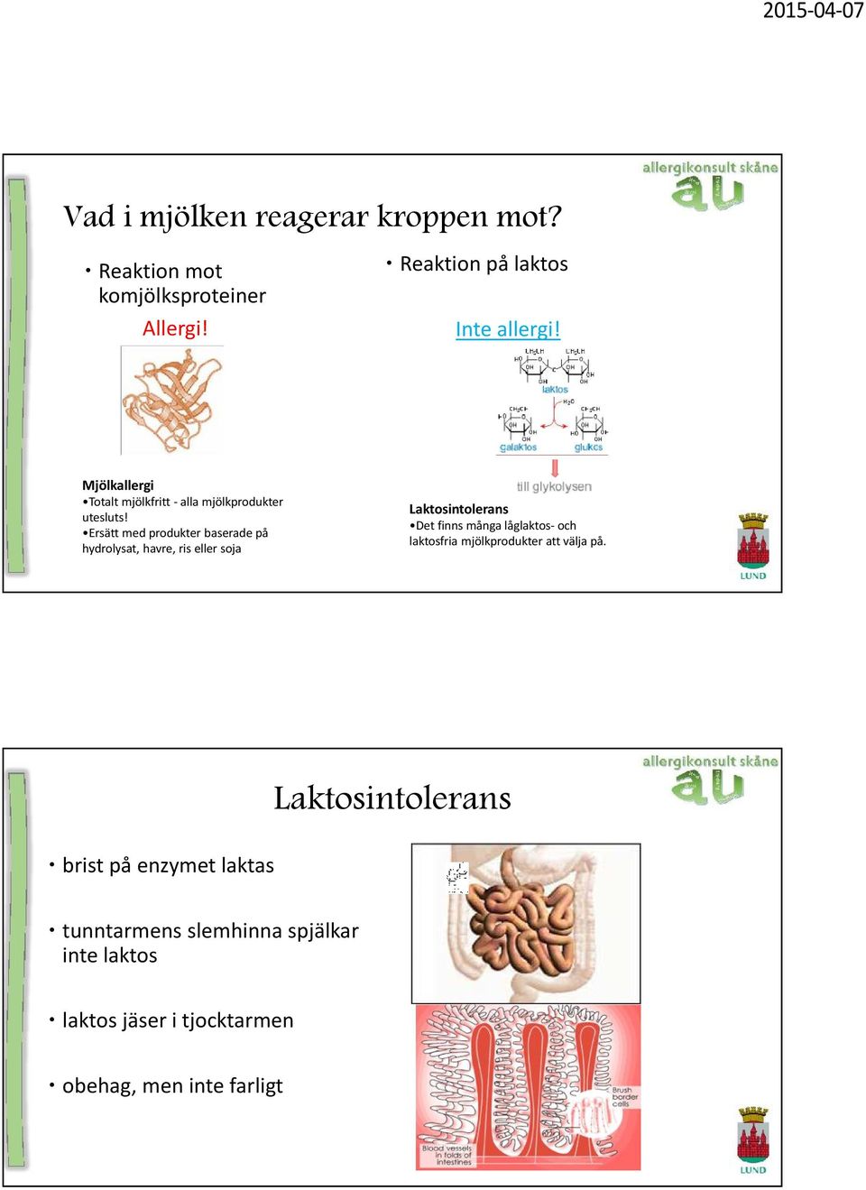 Ersätt med produkter baserade på hydrolysat, havre, ris eller soja Laktosintolerans Det finns många låglaktos- och