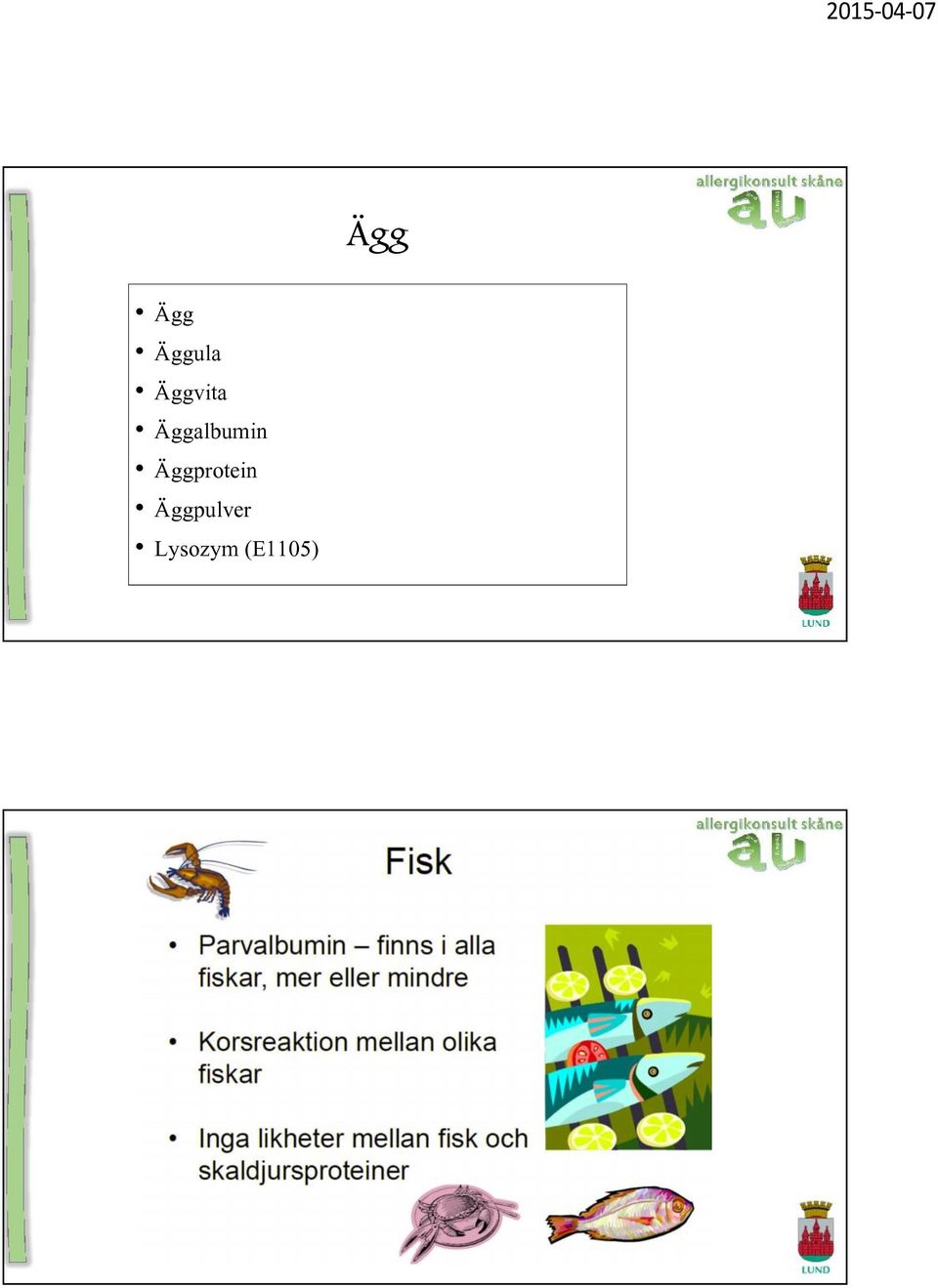 Äggalbumin