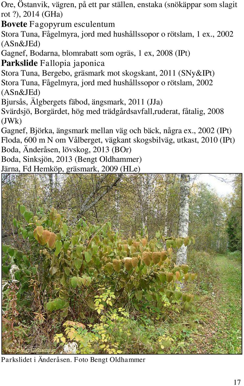 2011 (JJa) Svärdsjö, Borgärdet, hög med trädgårdsavfall,ruderat, fåtalig, 2008 (JWk) Gagnef, Björka, ängsmark mellan väg och bäck, några ex.