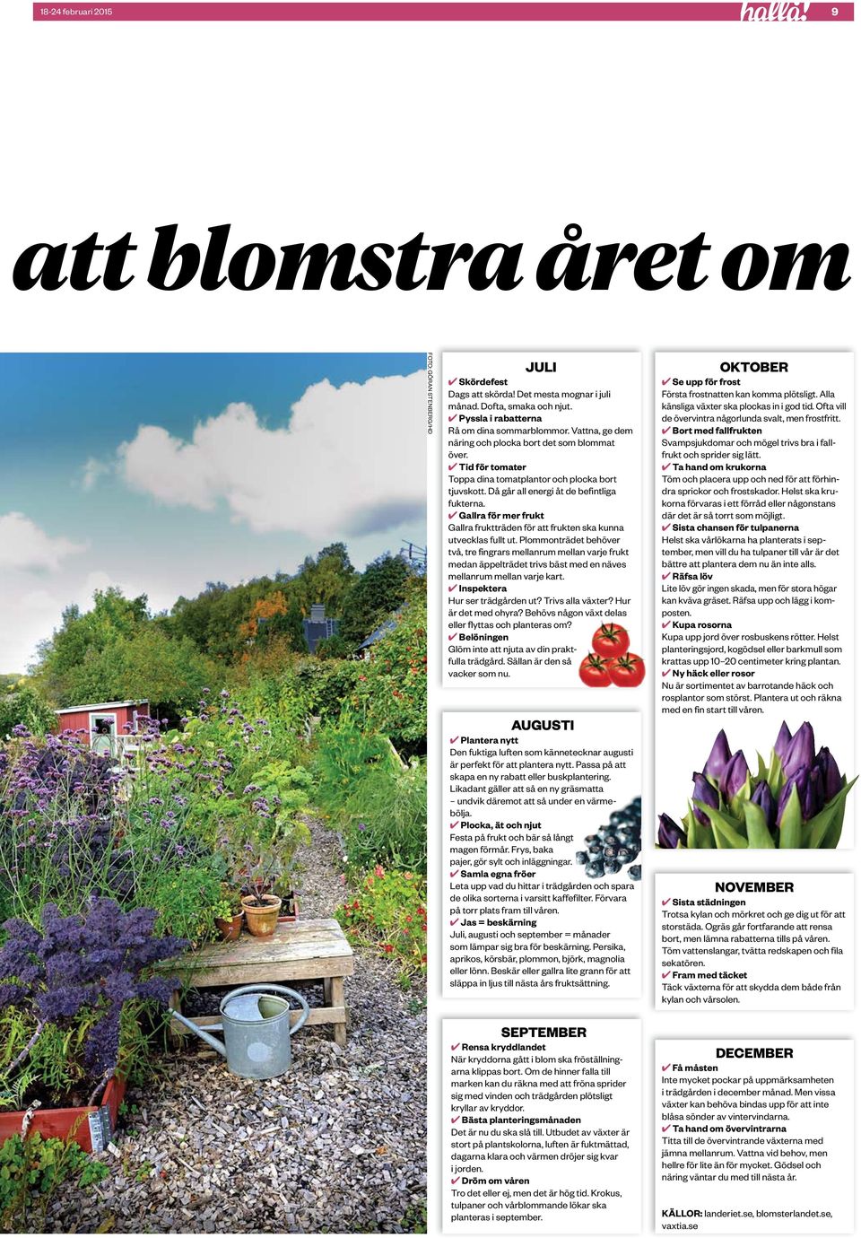 halva priset onlinebutik annorlunda En toffelmålare med framtidsplaner - PDF Free Download halva priset onlinebutik annorlunda En toffelmålare med framtidsplaner - PDF Free Download
