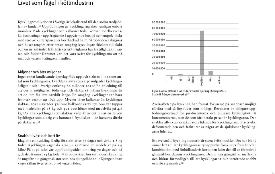 Ströbädden avlägsnas och huset rengörs efter att en omgång kycklingar skickats till slakt och en ny anländer från kläckeriet. 3 Fåglarna har fri tillgång till vatten och foder.