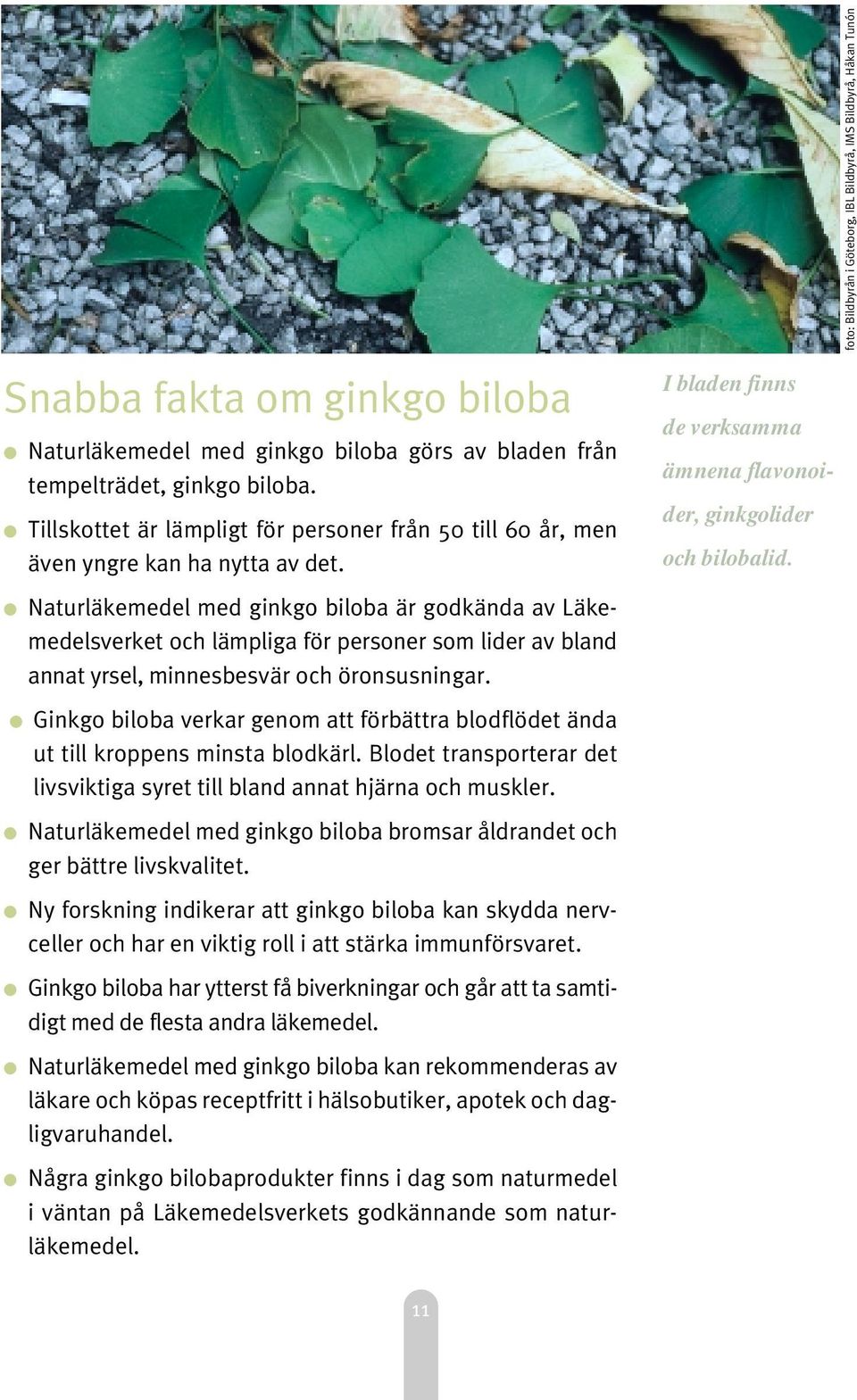 Naturläkemedel med ginkgo biloba är godkända av Läkemedelsverket och lämpliga för personer som lider av bland annat yrsel, minnesbesvär och öronsusningar.