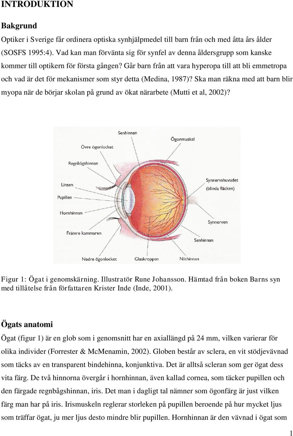Går barn från att vara hyperopa till att bli emmetropa och vad är det för mekanismer som styr detta (Medina, 1987)?
