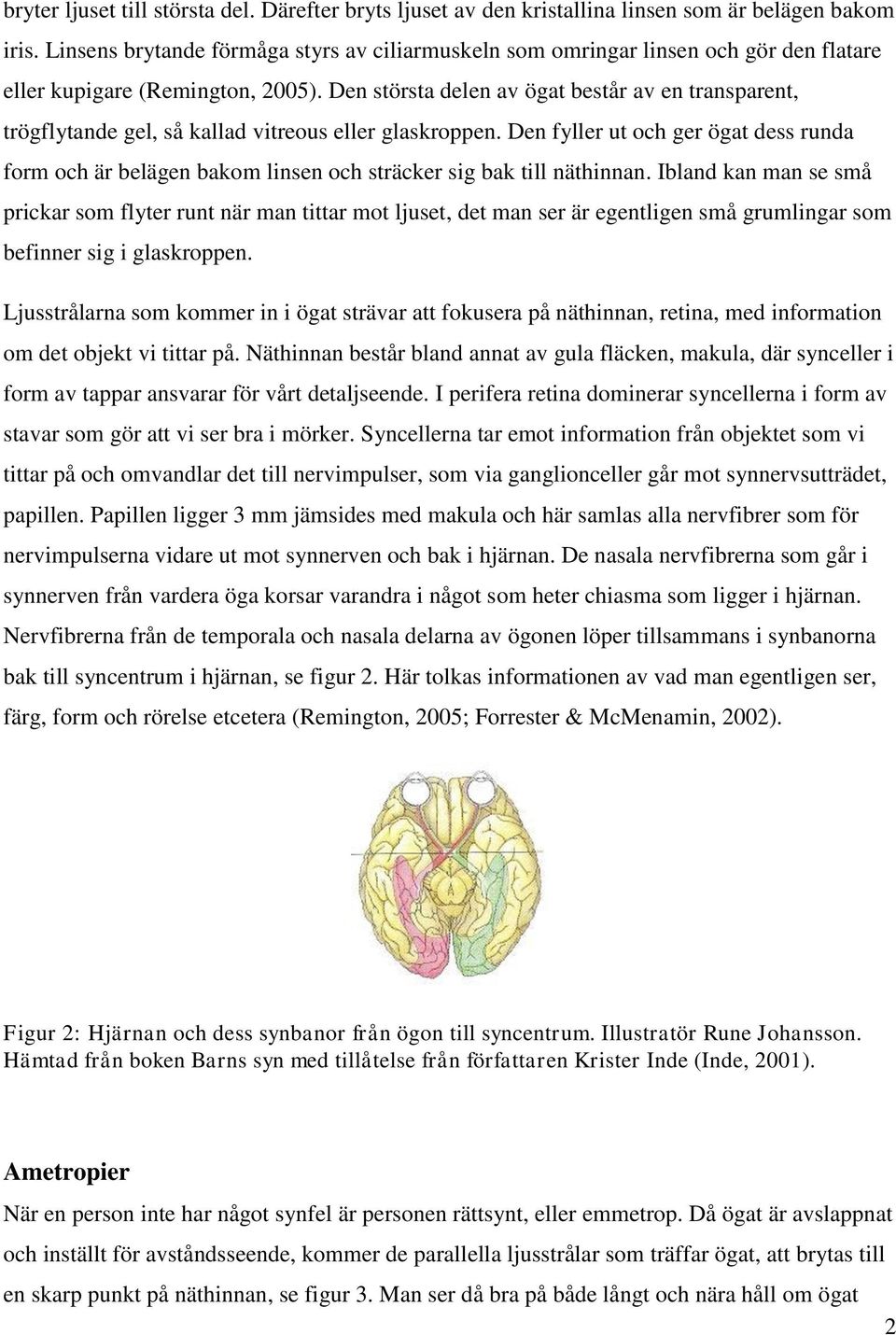 Den största delen av ögat består av en transparent, trögflytande gel, så kallad vitreous eller glaskroppen.