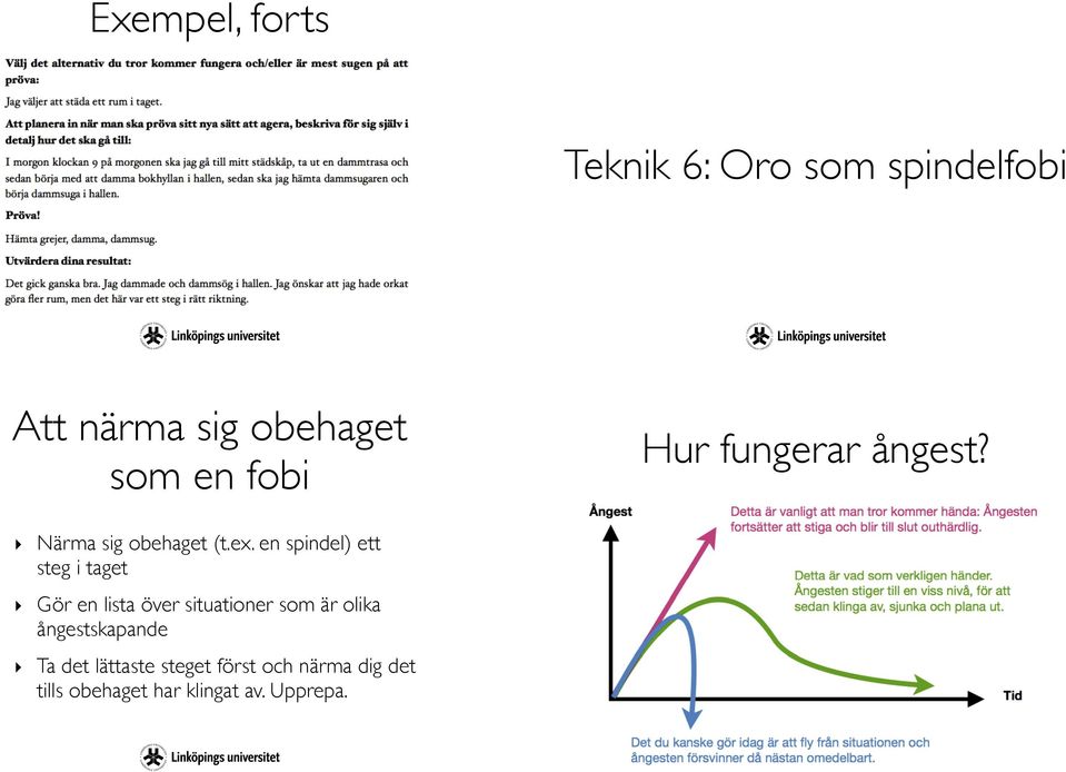 en spindel) ett steg i taget Gör en lista över situationer som är olika